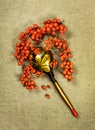 Rowan, rowanberry. Dried herbs. Herbal medicine, phytotherapy me