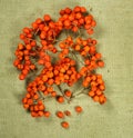 Rowan, rowanberry.Dried herbs. Herbal medicine, phytotherapy med