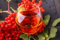 Rowan tincture of alcohol in glass, concept handmade alco Royalty Free Stock Photo