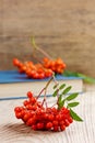 Rowanberry or ashberry on a wooden board