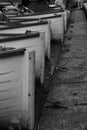 Rowboats in a Line on the Lake Royalty Free Stock Photo