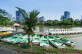 Rowboats in Lumphini Park; Bangkok