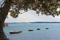 Rowboats for rent Royalty Free Stock Photo