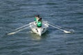 Rowers in green shirts rowing in Genoa Harbor, Genoa, Italy, Europe