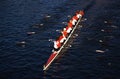 Rowers in Head of the Charles Regatta, Cambridge Royalty Free Stock Photo