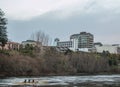 Rowers on the river