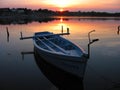 Rowing boat 2 Royalty Free Stock Photo