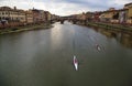 Rowing boats on the Arno in Florence, italy