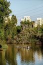 Rowing crew on river