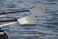 Rowing Oars Royalty Free Stock Photo