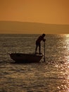 Rowing in sunset 2 Royalty Free Stock Photo