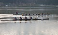 Rowing Team Royalty Free Stock Photo