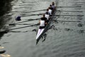 Rowing team Royalty Free Stock Photo