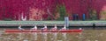 Rowing team - coxed four training Royalty Free Stock Photo