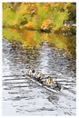 Rowing team training on canoe in the River Clyde, Glasgow