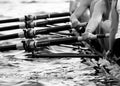 Rowing w/ Coxswain in Foreground Royalty Free Stock Photo