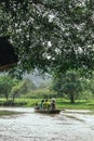 Rowing woman row a boat with tourist on the river under branches of trees at Trang An Grottoes in Ninh Binh, Vietnam