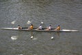 Rowing on the Yarra River Royalty Free Stock Photo