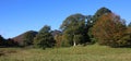 Rowling End, Causey Pike, Autumn colors, Cumbria