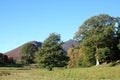 Rowling End, Causey Pike, Autumn colors, Cumbria