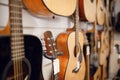 Rows of acoustic guitars in music store