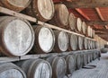 Rows of aged wine barrels Royalty Free Stock Photo