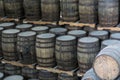 Rows of Aging Rum Barrels Royalty Free Stock Photo