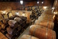 Rows of alcoholic barrels are kept in stock. Distillery. Cognac, whiskey, wine, brandy. Alcohol in barrels, alcohol