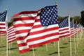 Rows of American flags Royalty Free Stock Photo