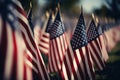 rows of American flags in the park Royalty Free Stock Photo