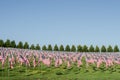 Hundreds of American Flags stand Art Hill in Forest Park, St. Louis, Missouri