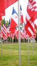 Rows of American and other national flags displayed on a green grassy field Royalty Free Stock Photo