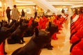 Shenzhen, China: rows of animal statues are displayed as landscapes in the large shopping square