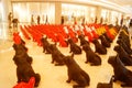 Shenzhen, China: rows of animal statues are displayed as landscapes in the large shopping square