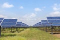 Rows array of polycrystalline silicon solar cells in solar power plant turn up skyward absorb the sunlight from the sun use light