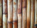 Rows of bamboo arranged side by side create a vertical surface texture. The bamboo ranges in color from light brown to dark brown. Royalty Free Stock Photo