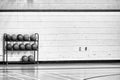 Rows of basketballs