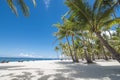 Rows of beautiful coconut palm trees near the white sand coast. At Dumaluan Beach, Panglao Island, Bohol, Philippines Royalty Free Stock Photo