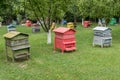 Rows of beehives in a fruits tree garden.