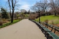 Rows of benches in Central-park Royalty Free Stock Photo