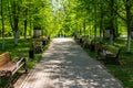 Rows of benches in a city park surrounded by trees Royalty Free Stock Photo