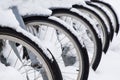 Rows of bicycles. Close-up shot of bicycle wheels. Royalty Free Stock Photo