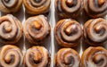 Rows of bite size cinnamon swirl rolls in a plastic tray