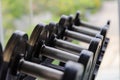 Rows of black dumbbell set on rack in the gym. Health care concept