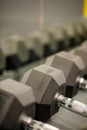 Rows of black dumbbells in the workout gym in high resolution and urban style Royalty Free Stock Photo