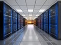 Rows of blade server system on white background