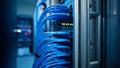 Rows of Blue Ethernet Cables in a Server Rack with Blinking Lights in a Data Center Royalty Free Stock Photo