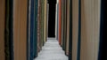 Rows of books with colored covers arranged on bookshelf in library. Old books with red, green and blue covers on Royalty Free Stock Photo