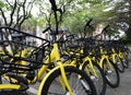 Rows of bright yellow public rental bikes on a stree
