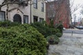 Rows of brownstone apartment buildings in Center City with windows, stoops and plant bushes in Pennsylvania